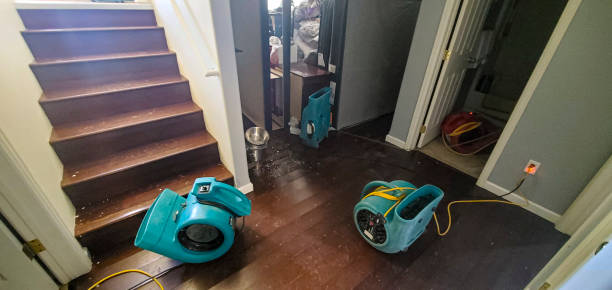 Best Water damage restoration specialists  in Herndon, VA