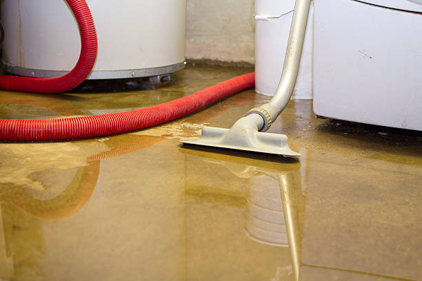 Best Flooded house restoration  in Herndon, VA