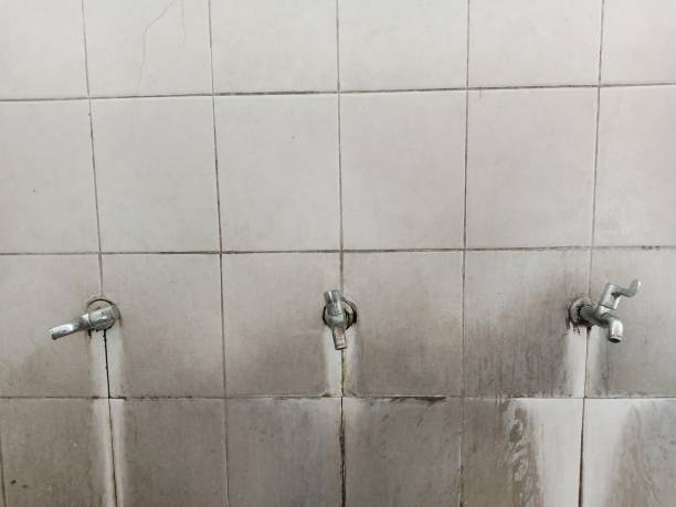 Best Mold removal after water damage  in Herndon, VA